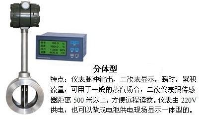 壓縮氣體流量表分體型產(chǎn)品圖