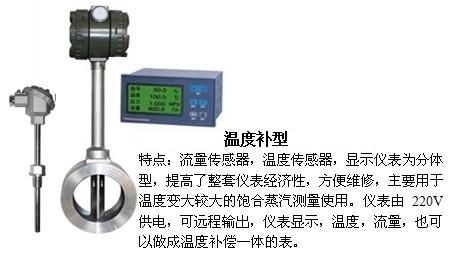 壓縮氣體流量表溫度補償型產(chǎn)品圖